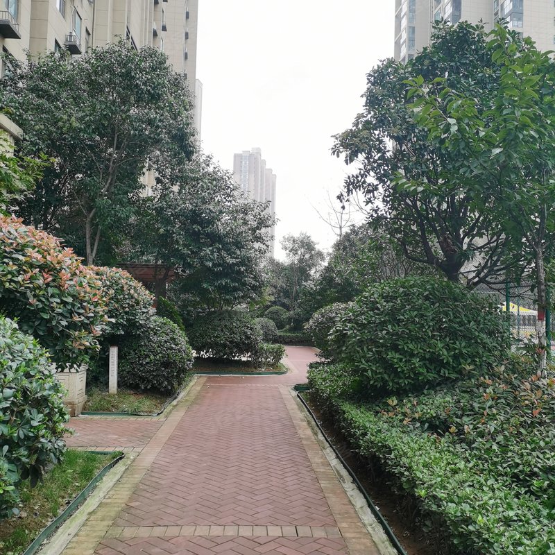 【凤凰小区, 凤凰小区小区详情,房价走势,房源,业主论坛】- 平顶山58