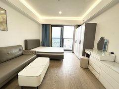 深圳光明光明星河天地公馆 精装一房 楼下就是商业 拎包入住 近地铁出租房源真实图片