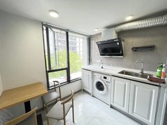 东泰禾地铁口复式独门独户单身公寓