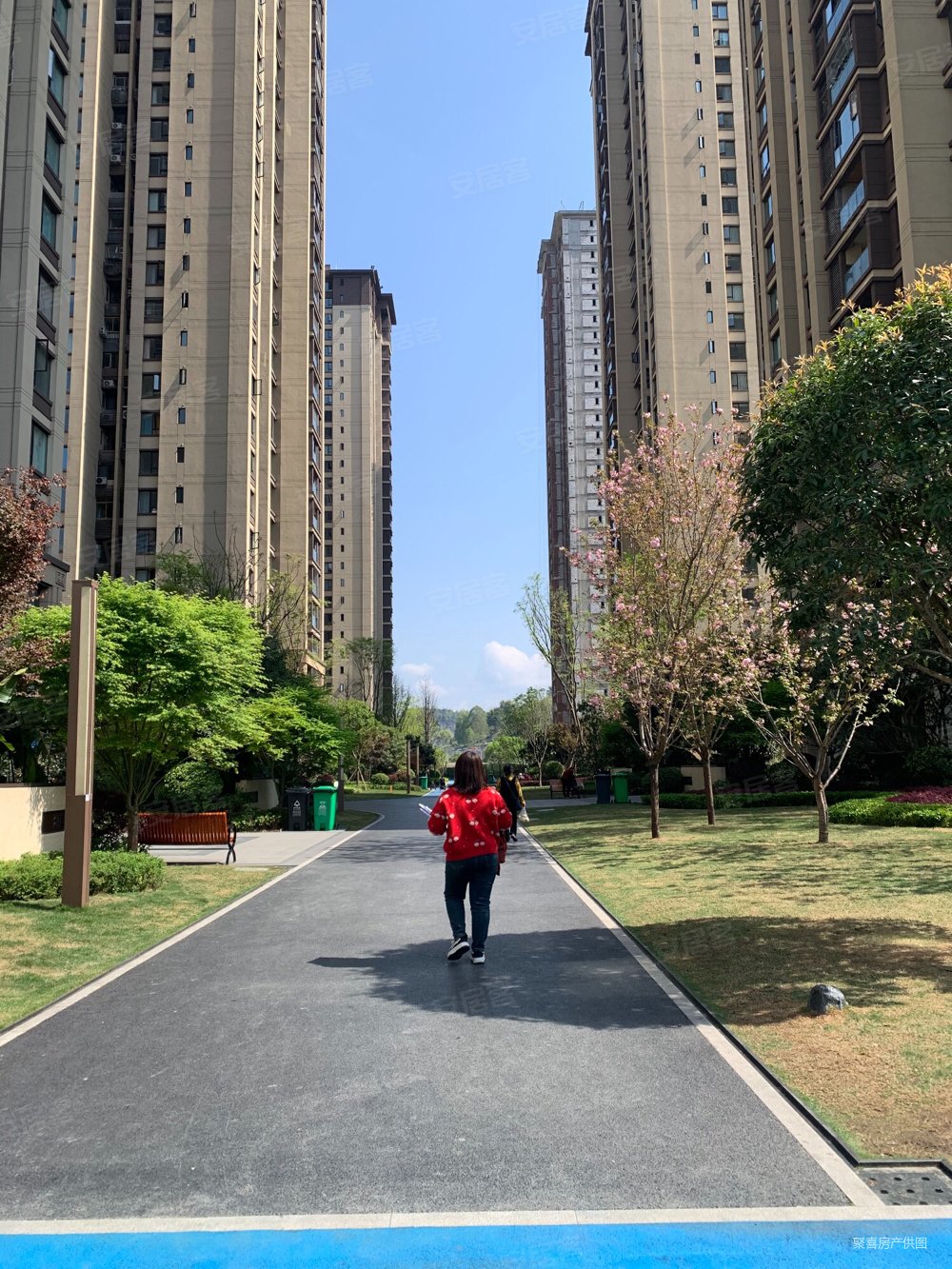 重庆房产网>重庆二手房>南川二手房>南川城区二手房>泽京南樾府>1000