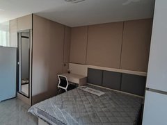 镇江丹阳万善公园海会新村 精装修 家电齐全 1室1厅1卫出租房源真实图片