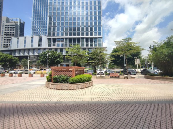 比亚迪 精装3房 拎包入住 中芯国际 保税区 荣耀,坪山租房-深圳58安居