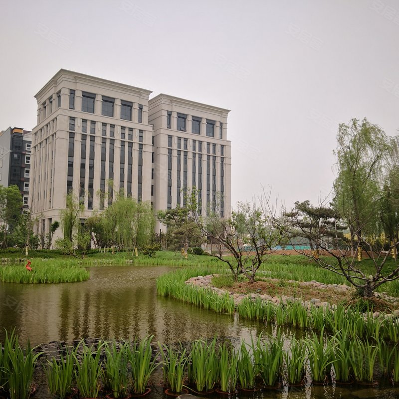 富力总部基地专家解读