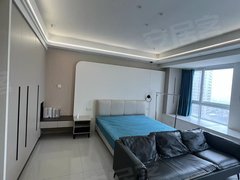 睢县城区睢县人民医院中央城市广场(睢县-商住楼) 1室1厅1卫 55平 电梯房出租房源真实图片