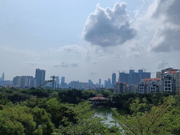 深圳天鹅堡蔡徐坤图片