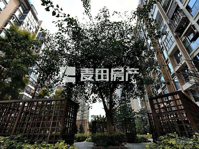 厦门房产网>厦门二手房>湖里二手房>枋湖二手房>凯悦新城(公寓住宅)>