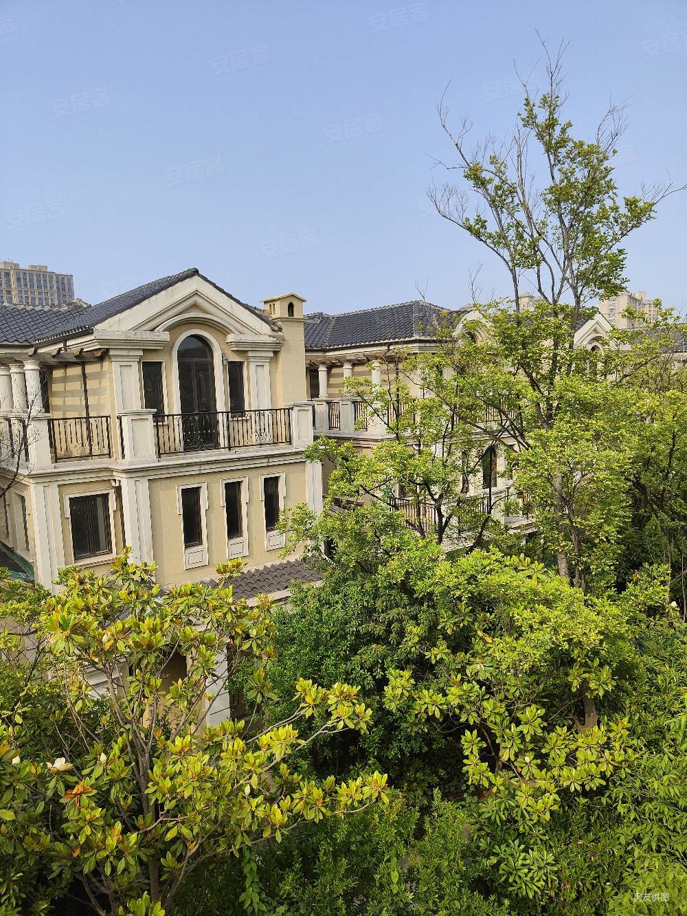 林溪湾独栋别墅450w捡漏房