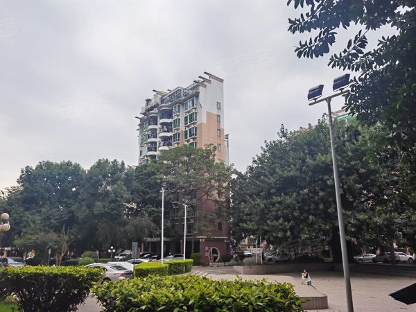 深圳龙岗横岗隆盛花园直租新上,四联小学旁,隆盛花园21房.