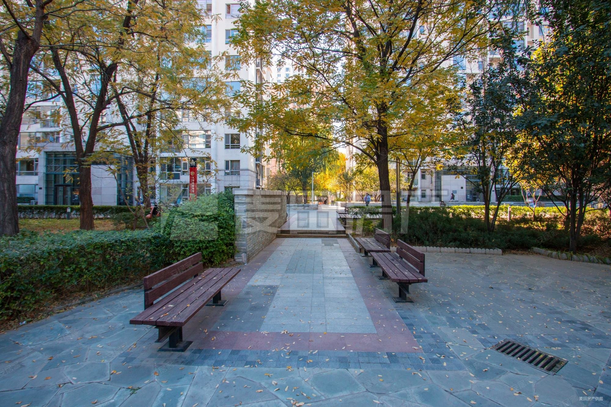 乐成国际3室2厅2卫147㎡南北1520万