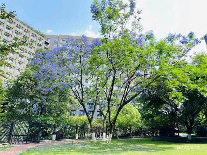 新希望皇冠国际3室2厅2卫117.09㎡南北210万
