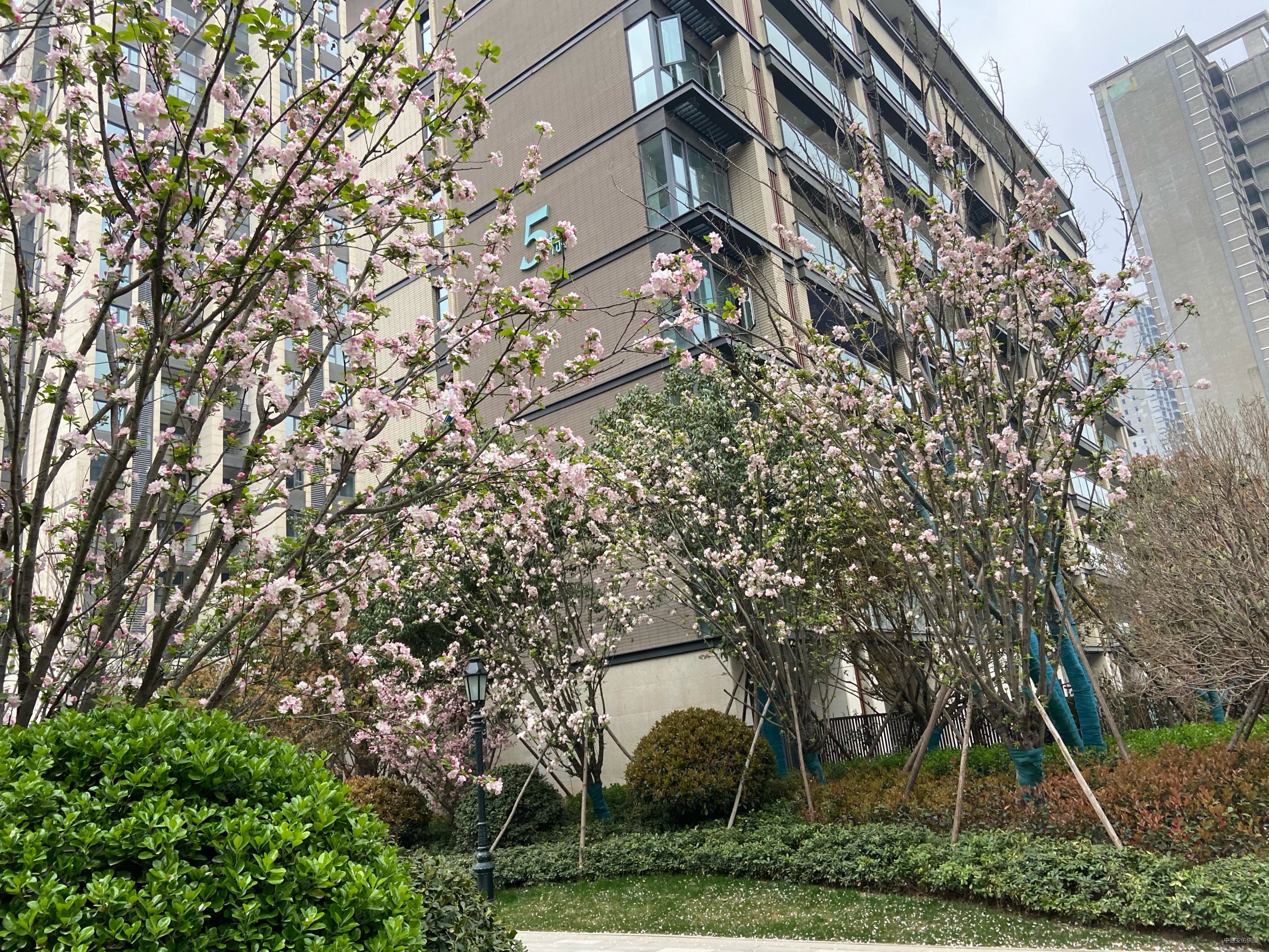 碧源月湖桂园 138平一楼带院同等面积地下室70平院子 更名