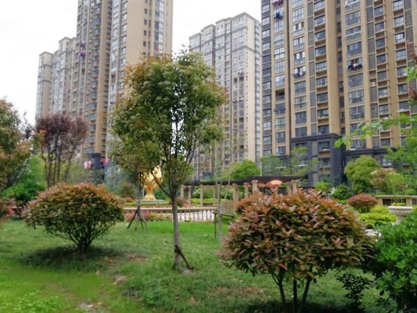 盐城盐都麦德龙港龙华侨城神州路 港龙华侨城精装二房1800包物业费 靠