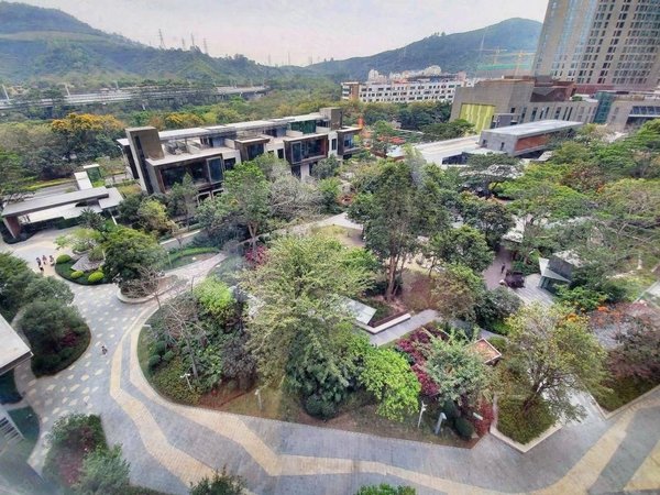 博林天瑞 140平四房 可看山景 看房方便随时可入住,南山租房-深圳58