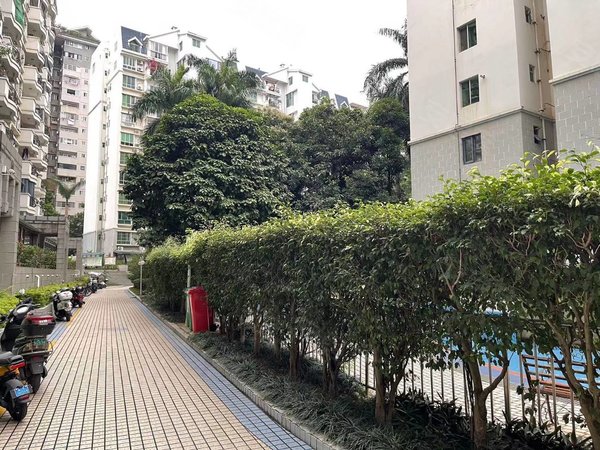 南宁青秀五象广场逸景园逸景园新上精装3房2厅2卫120平诚心出租出租