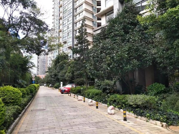 新迎片区租房,锦泰花园 标准一室一厅 随时看房,盘龙租房-昆明58安居