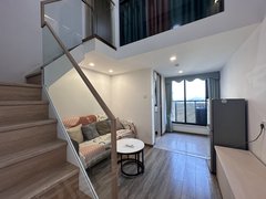 东莞寮步寮步中心区中环广场全新复式两房 出门有轻轨山姆 商业街生活很方便出租房源真实图片