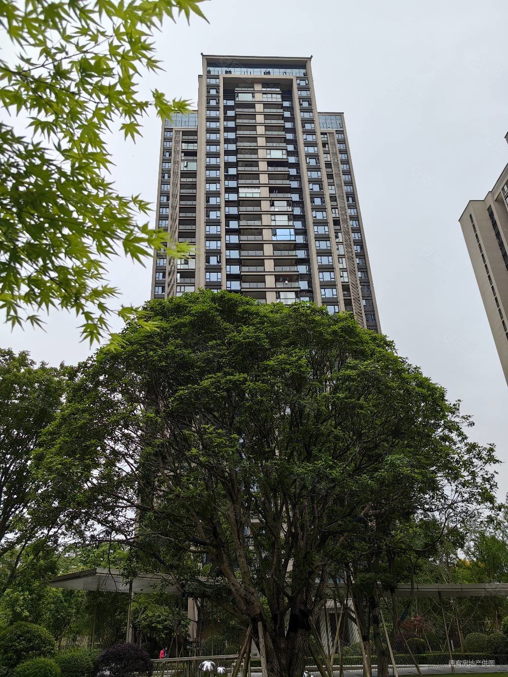 龙湖九里峰景4室2厅2卫136.15㎡南北208万