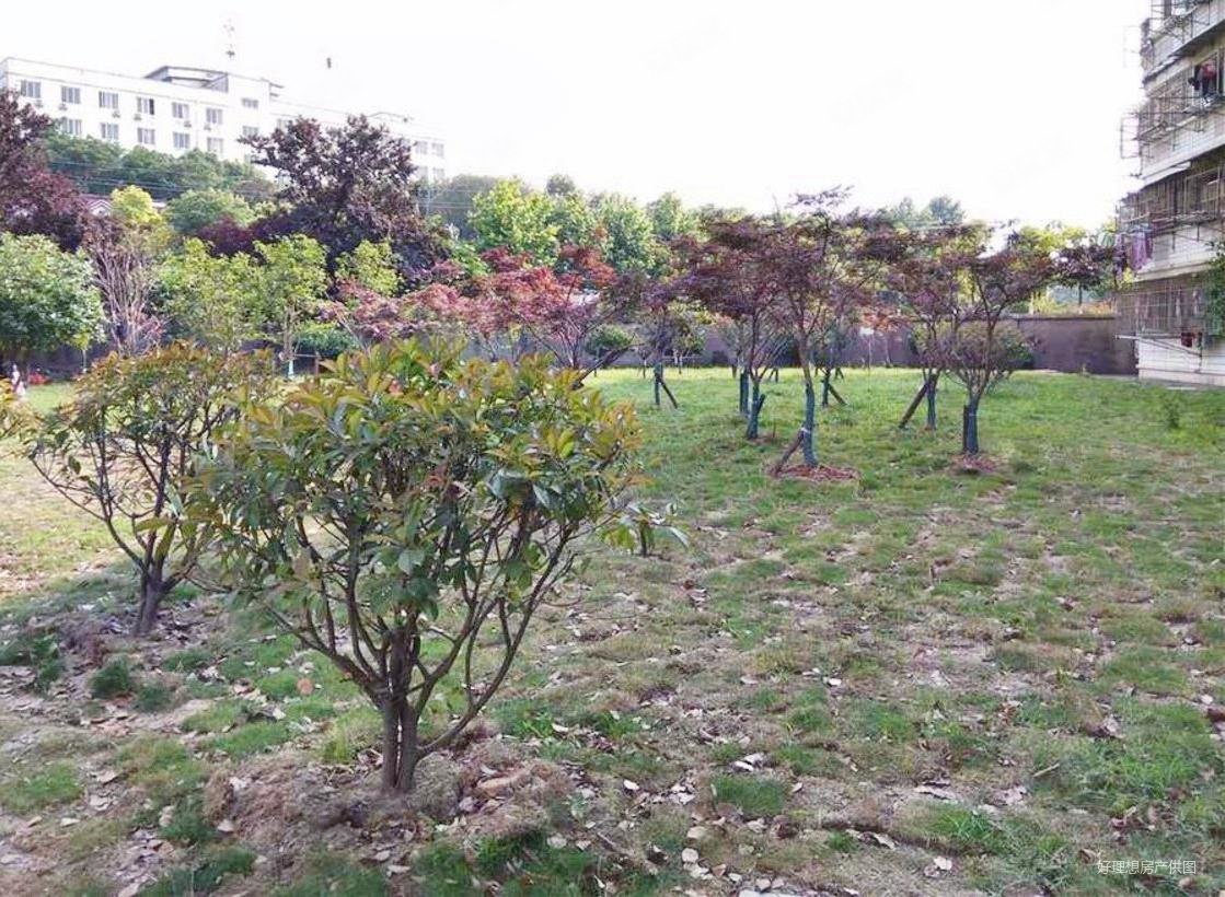 金叶花园 产权清晰 临地铁 板楼 南北通透 采光充足