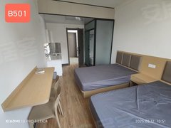 安阳龙安安阳商贸城精装修 安玻公寓 B501一室一厅出租房源真实图片