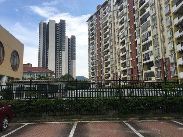 【多图】丰庭花园,金洲租房,金洲地铁站旁 丰庭花园 房东好说话 随时