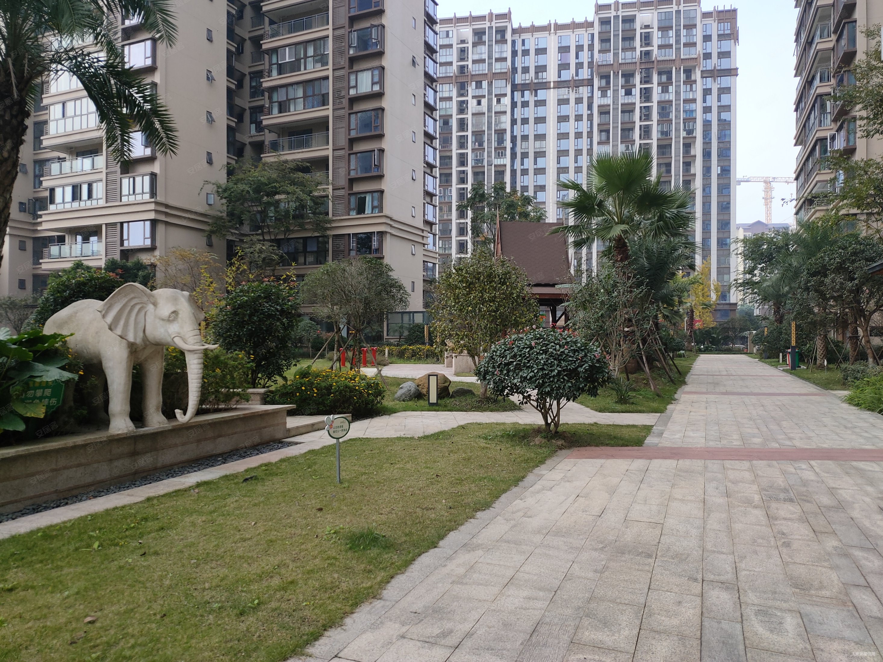 近地铁白鹤大桥附近新津雍景苑电梯清水采光好配套成熟