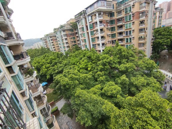 广州白云京溪云景花园云枫苑居家推荐来咯 云景花园大三房115平 南北