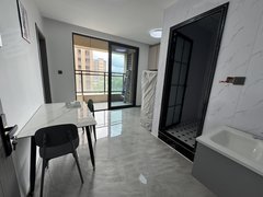 安吉递铺博瑞广场城北森源盒马对面玉兰湾一室一厅朝南有阳台 押一付一拎包入住出租房源真实图片