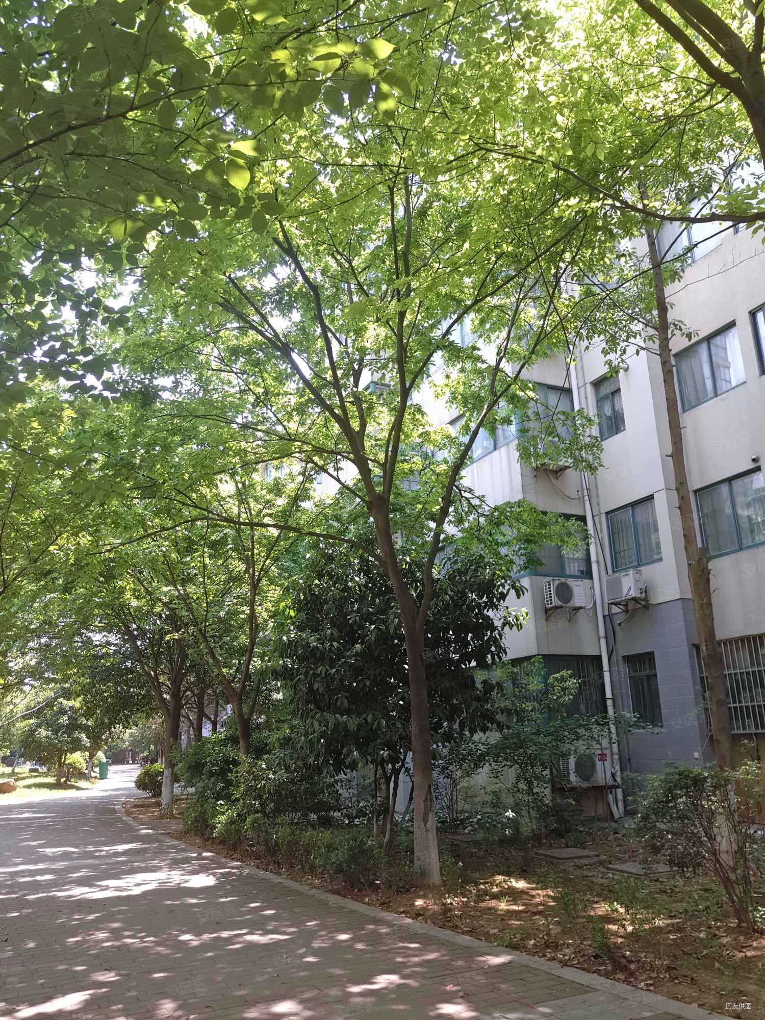 江南青年城翠湾苑