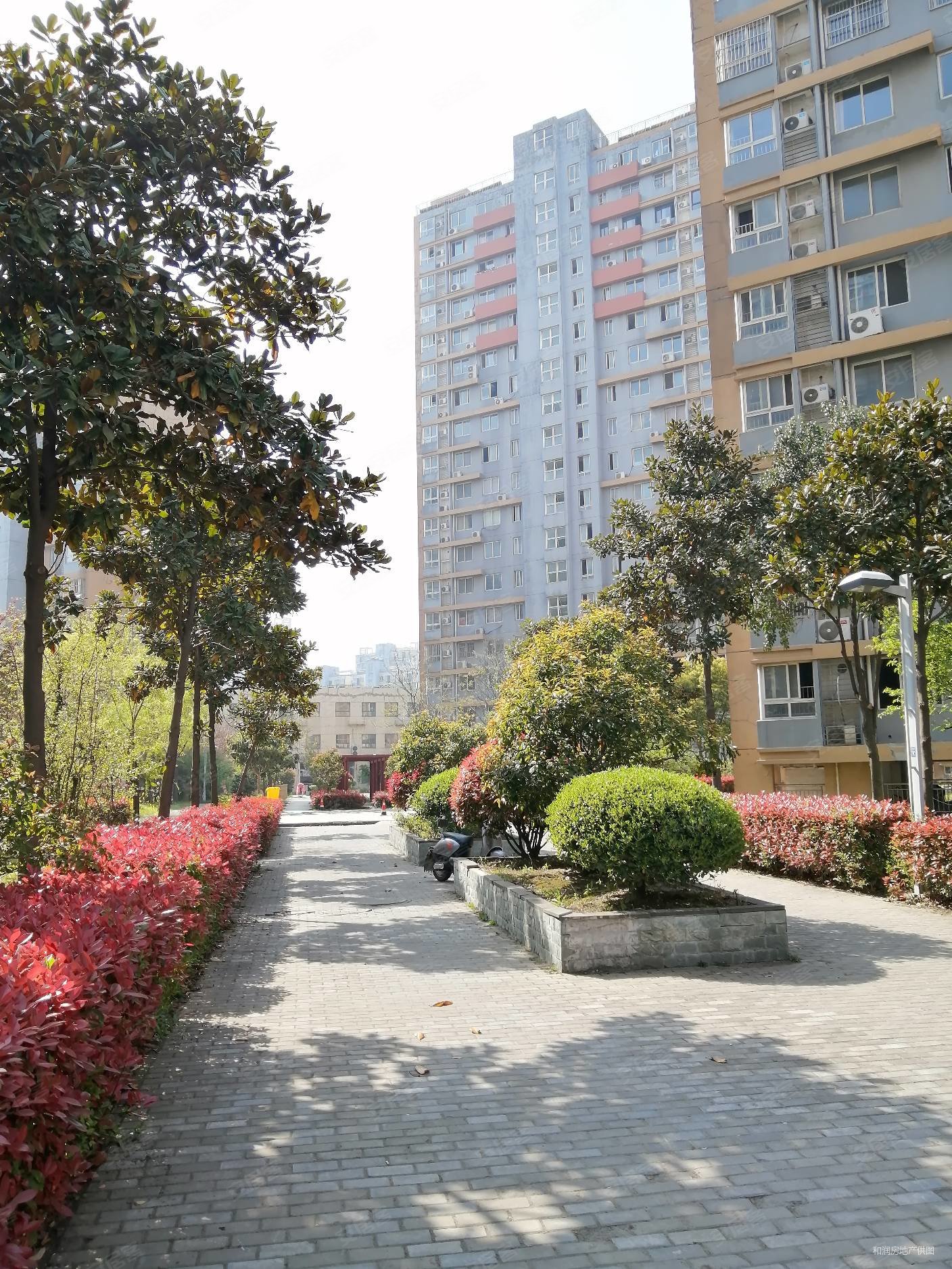 金港花园107平精装修3房楼层采光好靠金山花园金港北苑