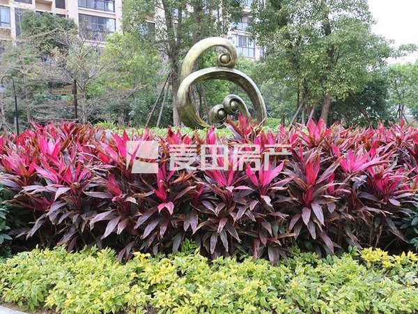 【多图】国贸润园,五缘湾北区租房,南北向 3室2厅 精装修 随时可看房