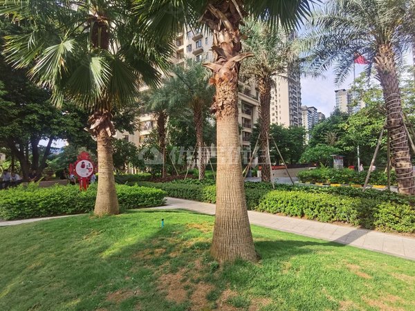 南宁良庆五象大道彰泰城a区总部基地楼下地铁口彰泰城家电家具配齐4房