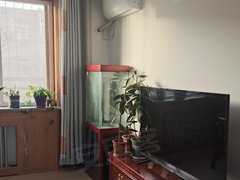 银川西夏同心路同心路 瑞祥苑 2室2厅1卫  86平 精装 拎包入住出租房源真实图片