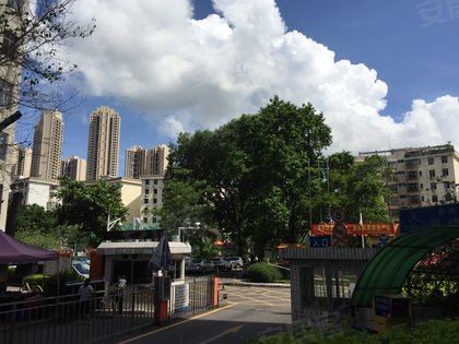 滨河新村,东园路17号 - 深圳滨河新村二手房,租房,房价-深圳安居客