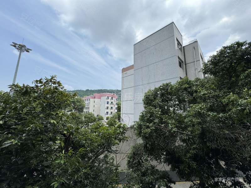 板楼 精装好房 商品住宅 近医院 南北通透 小三房,学府雅苑(綦江)二手