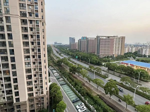 苏州吴中郭巷尹东八村(三区)近天运广场,立讯,伟创力,海关,生物医药