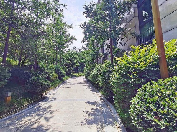 一阳g房 明卫 初次出租 江南府柏林郡出租房源真实图片