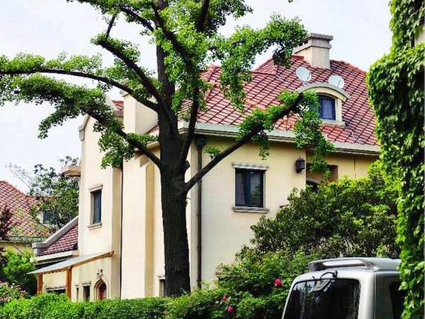 上海徐汇衡山路霞飞别墅fortune fors the bold.