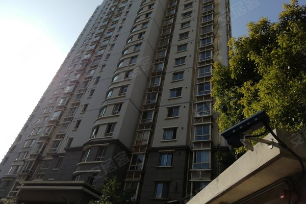 中兴财富国际公寓