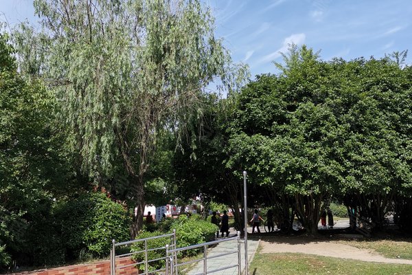 安居苑西村,陈村路 - 合肥安居苑西村二手房,租房,房价-合肥安居客