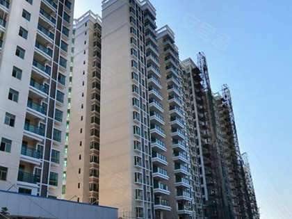 江门小区 新会小区 南新小区 裕安大厦相似小区 10014元/m新会区-南新