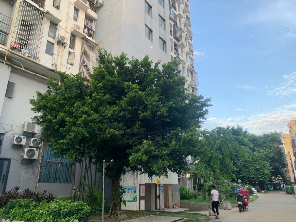 金湾花园优点,不足,海口金湾花园怎么样,金湾花园周边房产中介经纪人