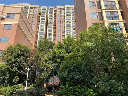 书香名苑北区(鄱阳),新民路 - 上饶书香名苑北区(鄱阳)二手房,租房