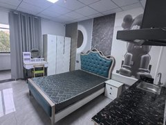 溧阳城南万达溧阳昆仑路新出单身公寓，紧靠平陵广场和上上电缆等，领包入住出租房源真实图片