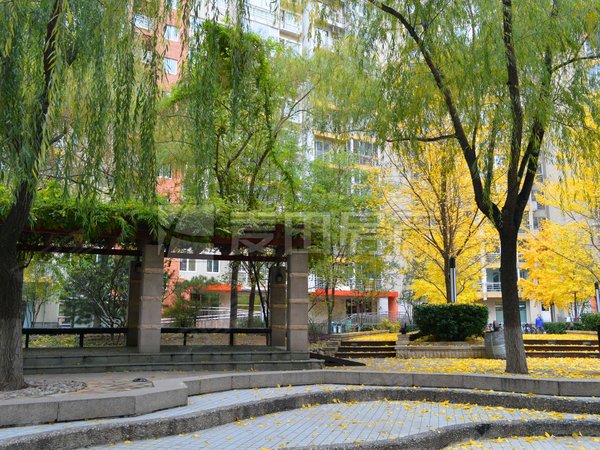 【多图】中海馥园,增光路租房,中海馥园 人车分流 全新装修 一天未住