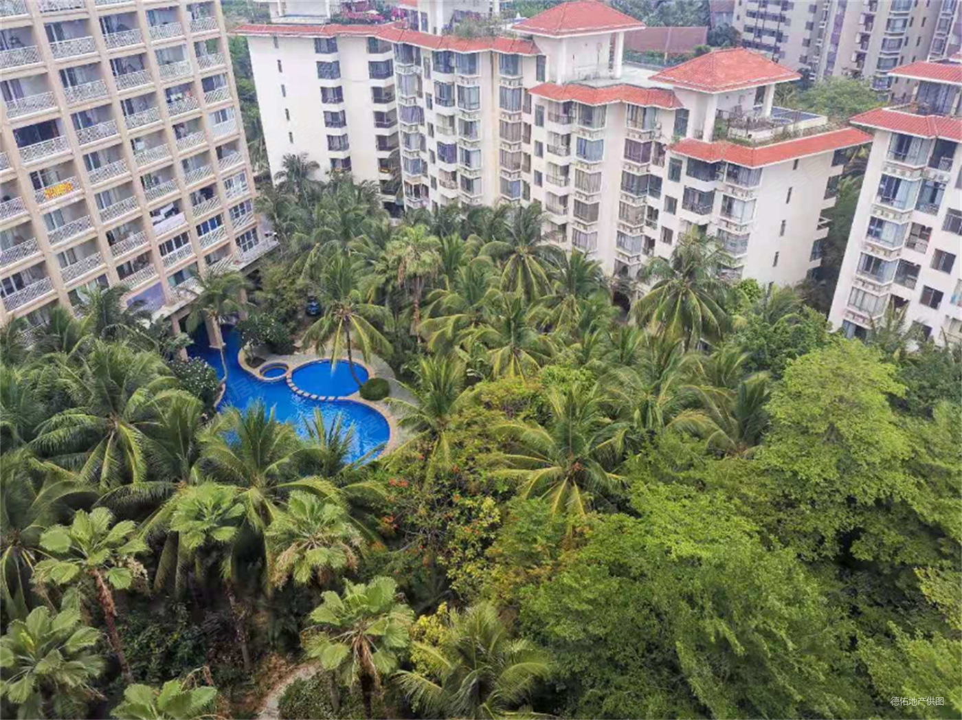 实际售价980w 三房两卫 海景大露台 三亚湾一线海景房,金海岸海景公寓