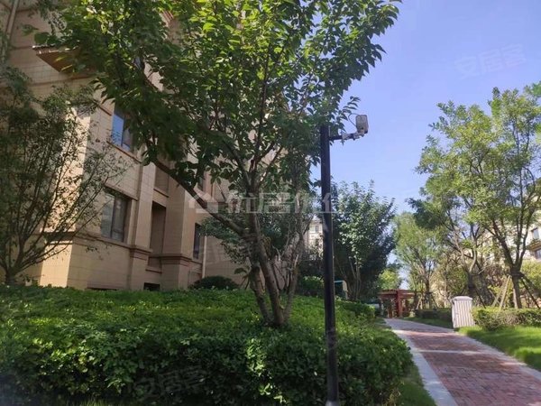 青岛莱西望城梦想望城精!