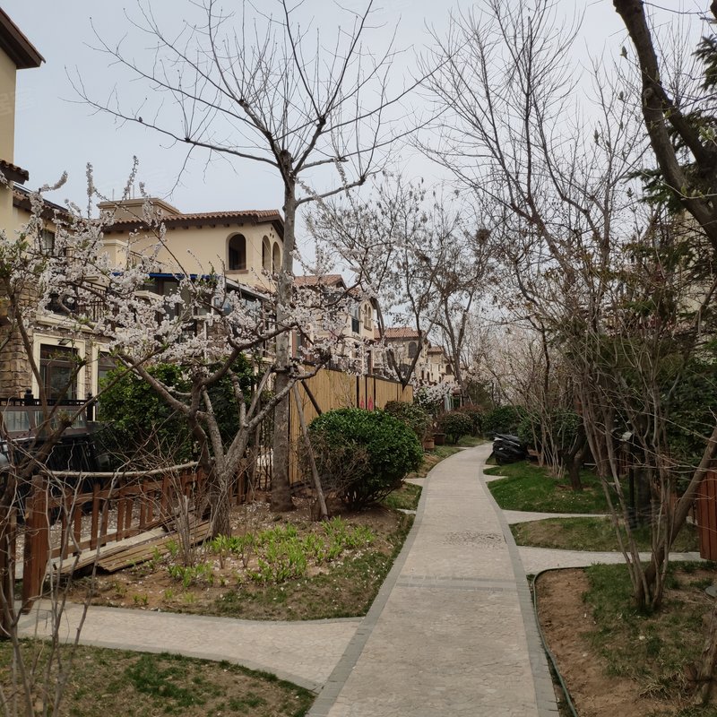【龙湖听蓝湾, 龙湖听蓝湾小区详情,房价走势,房源,业主论坛】- 烟台