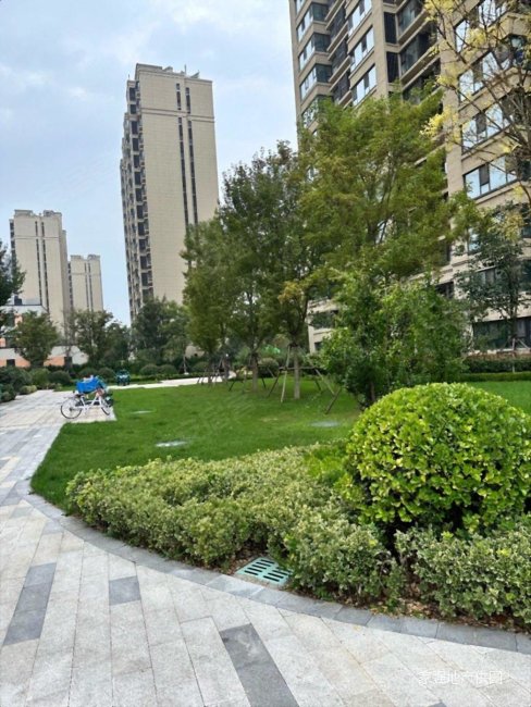融创茂旁 看海高层 前排楼采光好 双地铁 教育,中交山海大观二手房