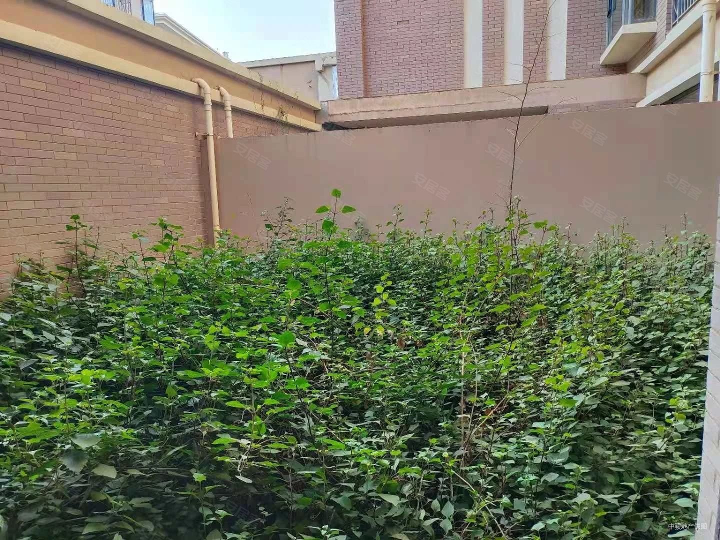 白龙潭小区毛坯 好楼层呈贡4房 520万南北