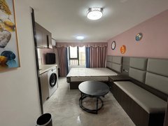 佛山南海盐步美的全新公寓  上下两层  也可以做成一房一厅  拎包入住出租房源真实图片